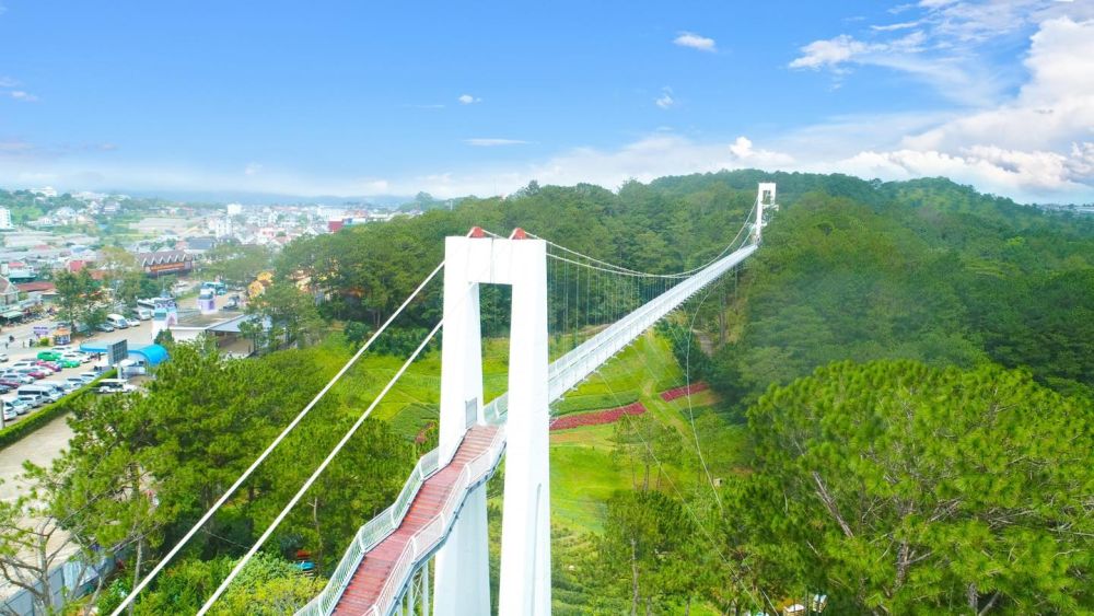 Cầu kính Ngàn Thông có sức chứa lên đến 200 người cùng lúc